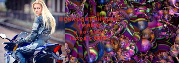 герыч Алексин