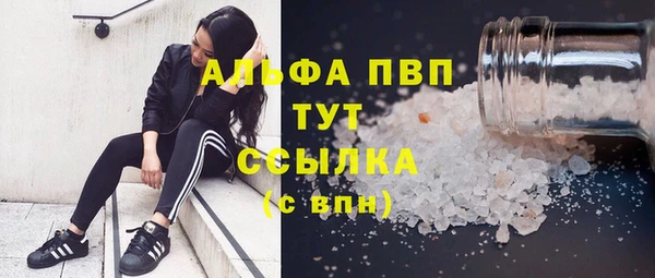PSILOCYBIN Алексеевка